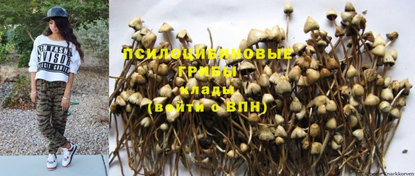 крисы Абдулино