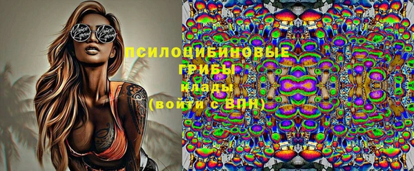 крисы Абдулино